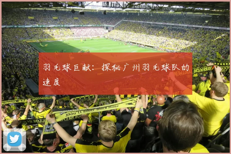 羽毛球巨献：探秘广州羽毛球队的速度
