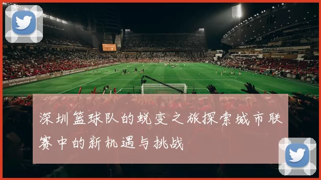 深圳篮球队的蜕变之旅探索城市联赛中的新机遇与挑战
