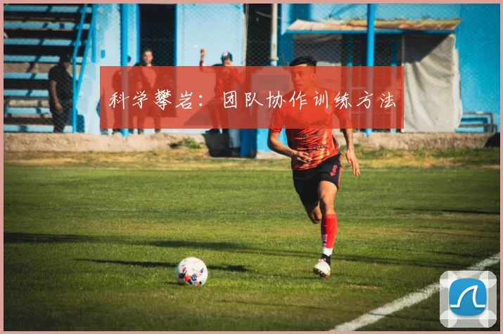 科学攀岩：团队协作训练方法