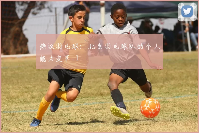 热议羽毛球：北京羽毛球队的个人能力变革_1