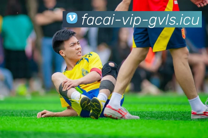 华体会体育APP 封面图